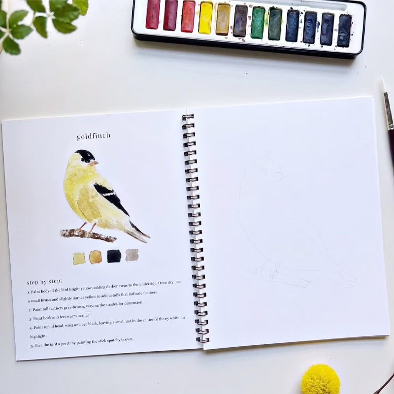 Akvarellia™ | Spark Your Creativity with Our Fun Watercolor Workbook!