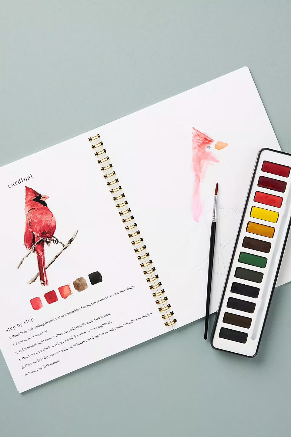 Akvarellia™ | Spark Your Creativity with Our Fun Watercolor Workbook!
