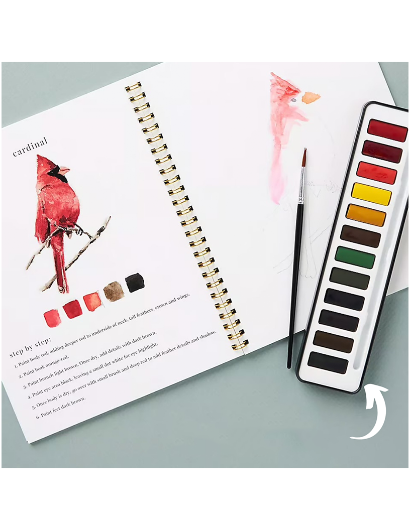 Akvarellia™ | Spark Your Creativity with Our Fun Watercolor Workbook!