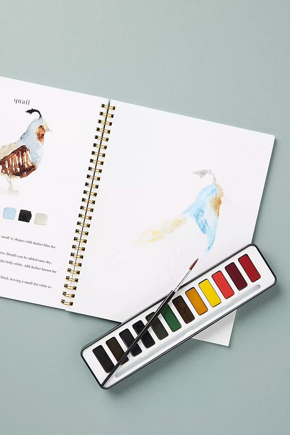Akvarellia™ | Spark Your Creativity with Our Fun Watercolor Workbook!